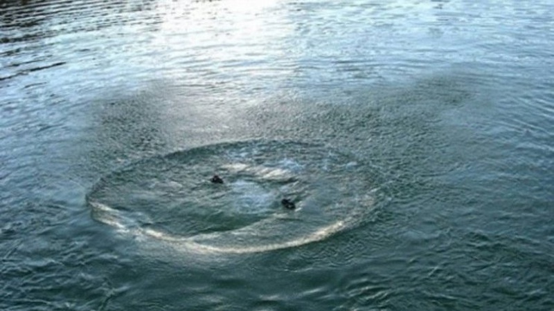 У селі на Волині втопився 21-річний хлопець