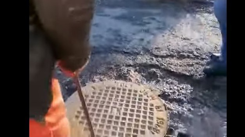 Луцький спиртзавод зливає брагу в каналізацію. ВІДЕО