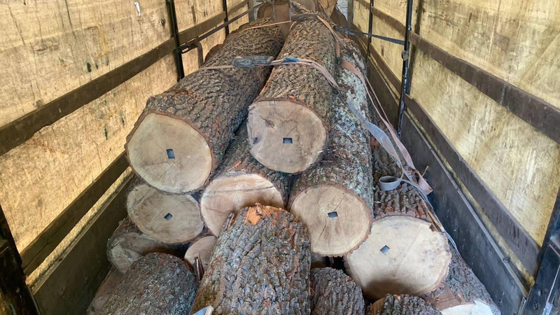 На Волині поблизу блокпоста зупинили водія вантажівки із незаконною деревиною