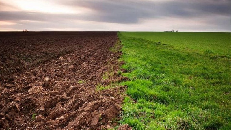 Фермерське господарство на Волині незаконно розорало сіножаті