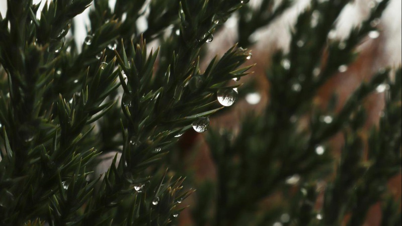 Яка погода очікується завтра, 5 січня