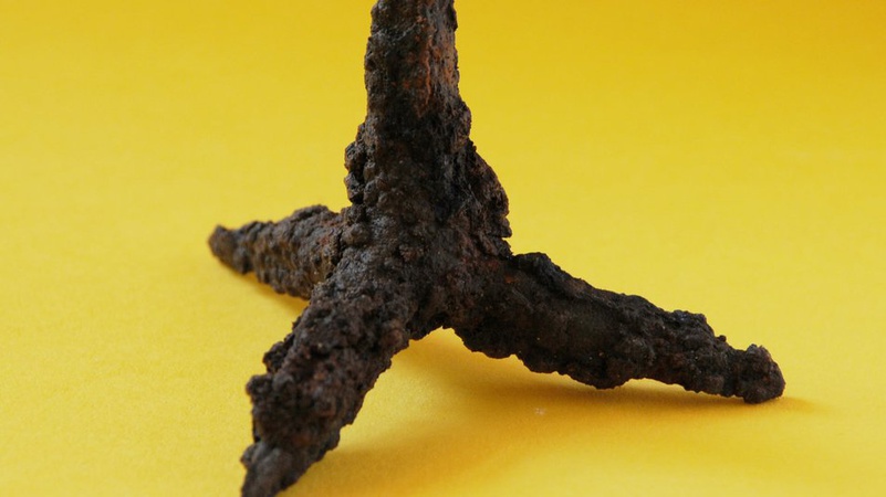 У Луцьку відшукали 300 унікальних археологічних знахідок