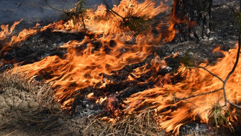Волинян попереджають про пожежну небезпеку