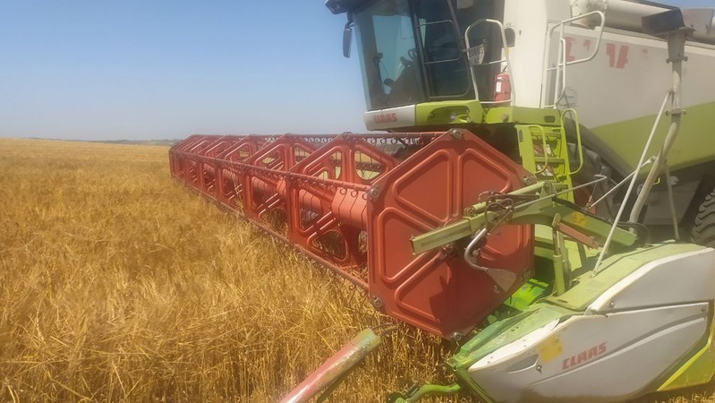 На Волині розпочалися жнива