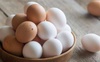 Зростання цін на курячі яйця зупинилося