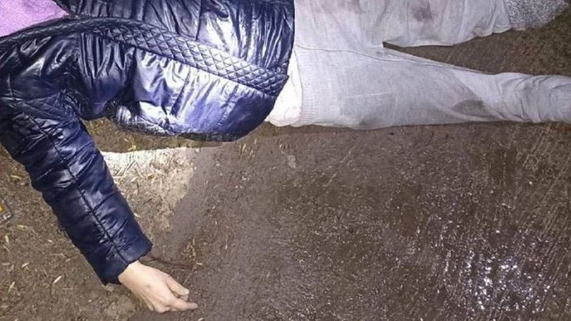 У Володимирі в ДТП загинула пенсіонерка