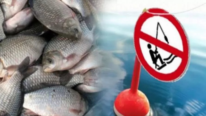 Українцям загрожують великі штрафи за незаконну риболовлю