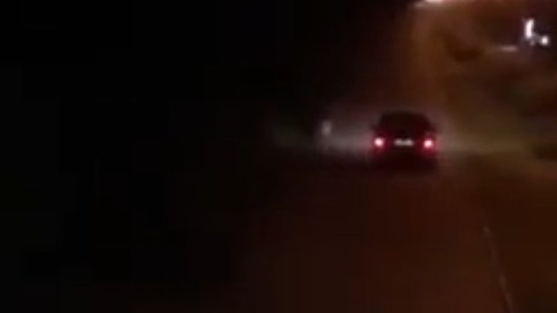 У Луцьку по центральній алеї парку їздило авто. ВІДЕО