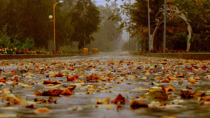 Яка погода очікується завтра, 23 жовтня