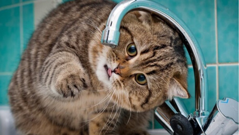 У Луцьку припинили опалювальний сезон, тому будуть перебої з гарячою водою