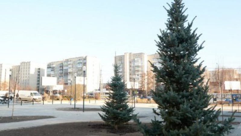 Луцьком у мороз гуляла оголена панянка. ФОТО