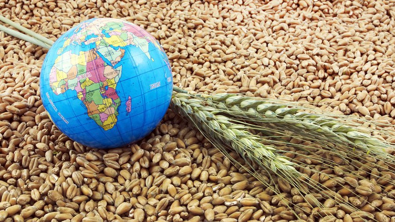 Польща підготувала транзитні коридори для експорту зерна з України