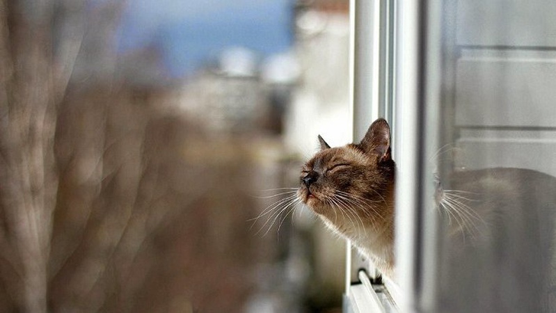 Переважно без опадів, місцями туман: прогноз погоди на 6 березня