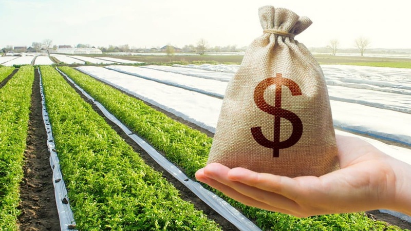 Ринок землі в Україні: де найбільше купують ділянки