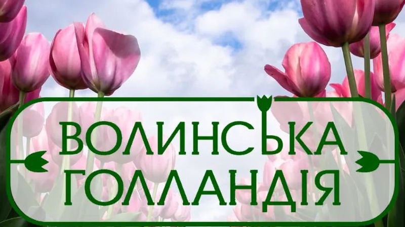 У «Волинській Голландії» готуються до наступного фестивалю квітів
