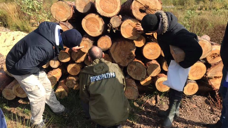 На волинському підприємстві знайшли 700 кубів «лівої» деревини