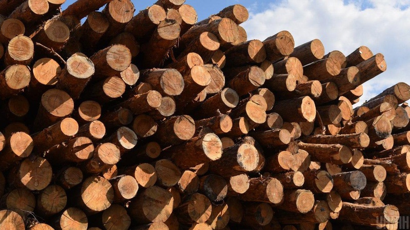 Кабмін заборонив експорт паливної деревини