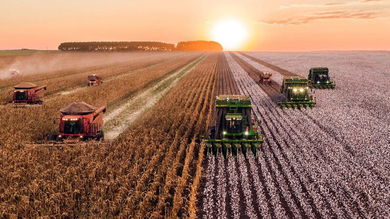 На Волині гектар паю здаватимуть в оренду мінімум за 5 тисяч гривень