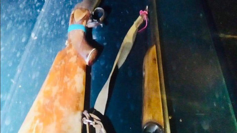 У лісі на Волині затримали браконьєра, він виявився колишнім єгерем