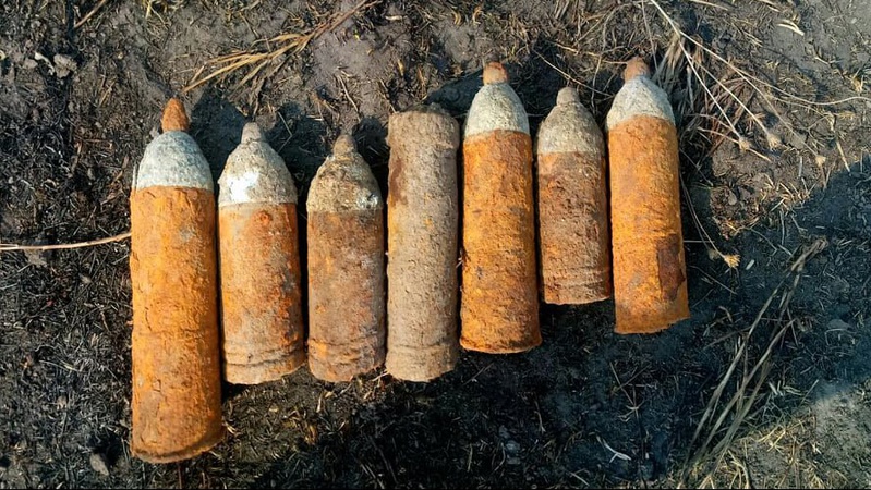 На Волині пенсіонер замість грибів знайшов урожай застарілих боєприпасів