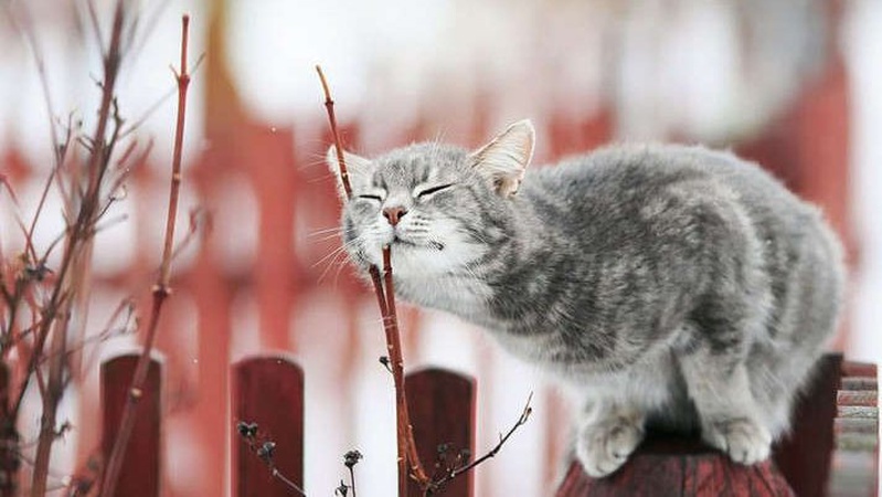 Тепло та без опадів: прогноз погоди на 27 лютого