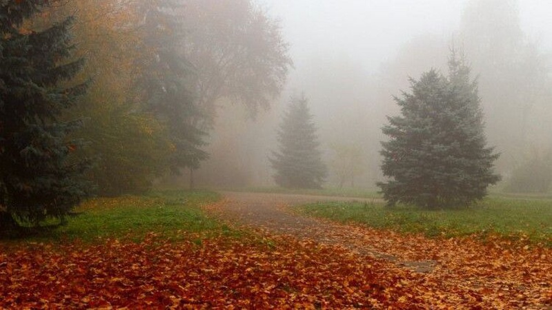 Синоптики спрогнозували погоду на Волині у середу, 10 листопада
