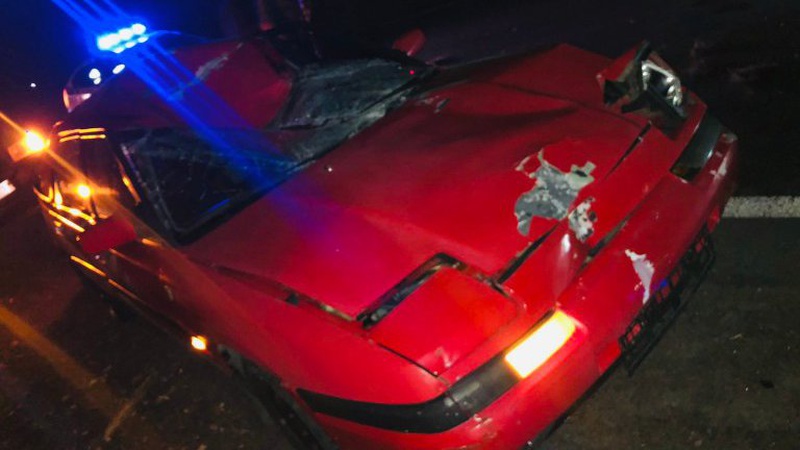 На Волині легковик збив лося, який раптово вибіг на дорогу. ФОТО 18+