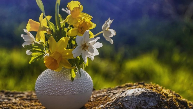 Травень в Україні розпочнеться з потепління