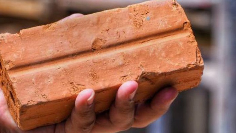 Судитимуть волинянку, яка цеглиною забила до смерті чоловіка в його хаті