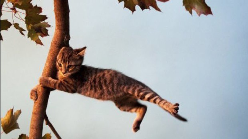 Рівень небезпечності – І: на Волині прогнозують сильні пориви вітру