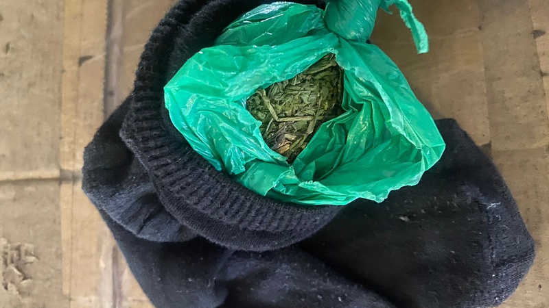 На «Ягодині» собака винюхав наркотики у шкарпетці волинянина. ФОТО. ВІДЕО