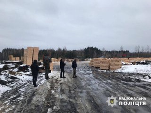 Обшуки в Маневицькому районі. Як на Волині розкрадають ліс