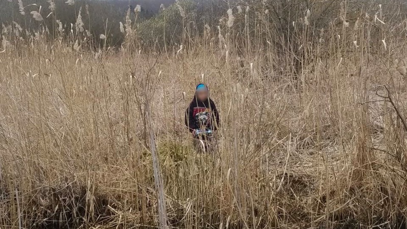 Хлопчик постійно кликав на допомогу: в очереті знайшли другокласника з Волині