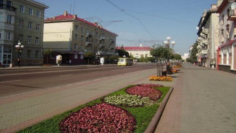 Лучанин пропонує висадити на проспекті Волі довговічні рослини