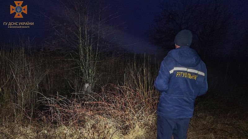 До пошуку зниклої вчора дівчини залучили рятувальників. ФОТО