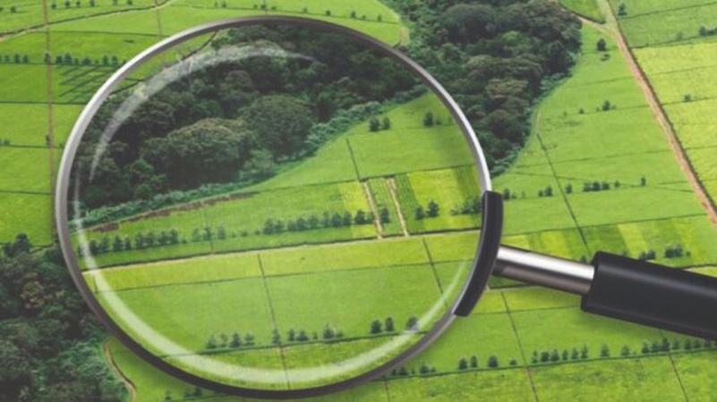 На Волині роздали землі на 44 мільйони – забиратимуть через суд