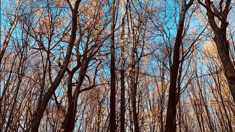 Що прогнозують волинські синоптики у вихідні, 6-7 листопада