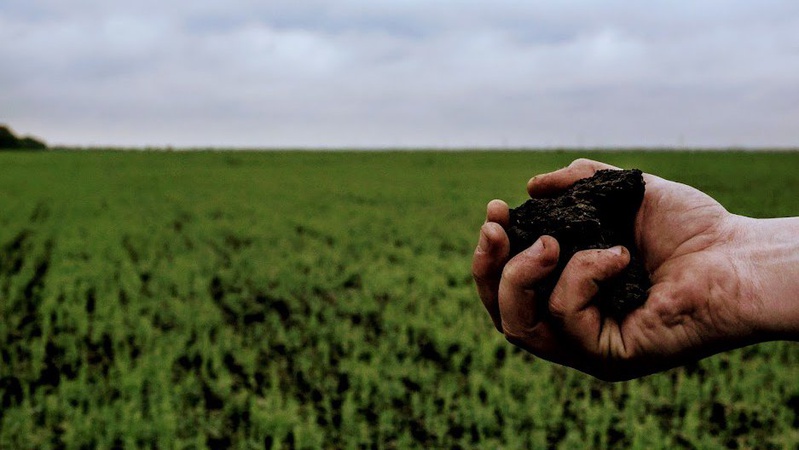 На Волині державі повернули незаконно вилучені землі вартістю 2,6 млн грн