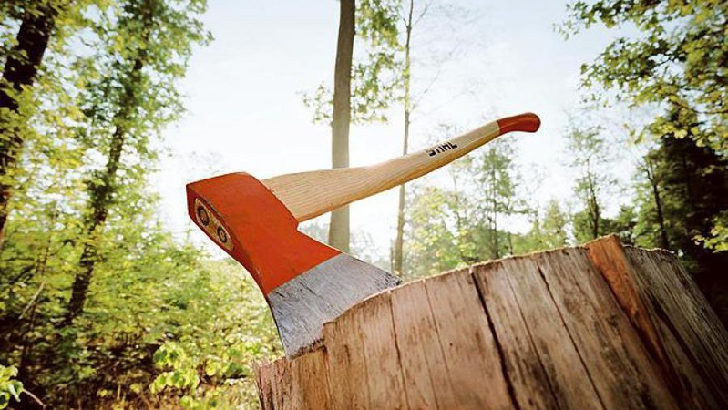 На Волині затримали порушника, який вирубав лісу на суму понад 350 тис. грн