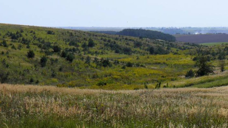 Луцька громада збагатилася майже на 100 гектарів землі