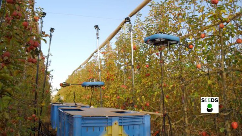 В Ізраїлі презентували робота-безпілотника, який збирає і складає в коробки фрукти. ВІДЕО