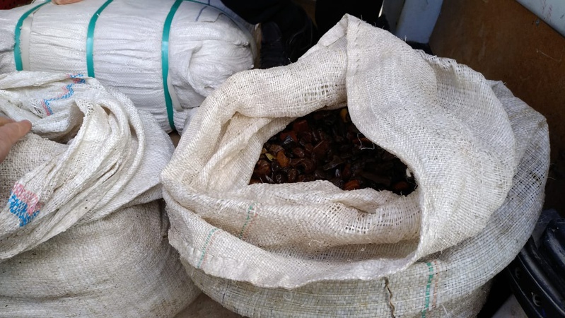 Бурштин на пів мільйона: прикордонники Луцького загону затримали авто з мішками сонячного каміння