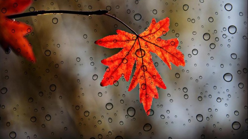 Яка погода очікується завтра, 17 листопада