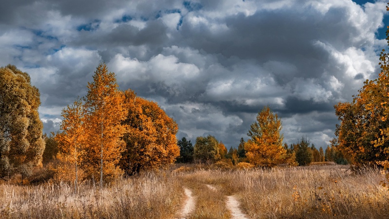 Якою буде завтра погода на Волині
