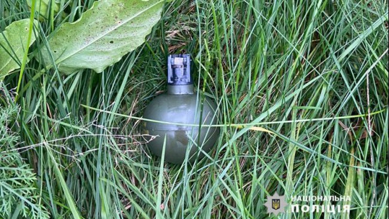 У 20-річного волинянина знайшли вдома пістолет, гранату та набої