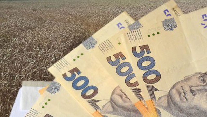 Громада на Волині хоче через суд повернути земельні ділянки вартістю понад 14 млн грн