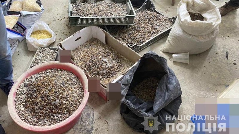 Волиняни налагодили схему переробки та збуту бурштину до Об’єднаних Арабських Еміратів