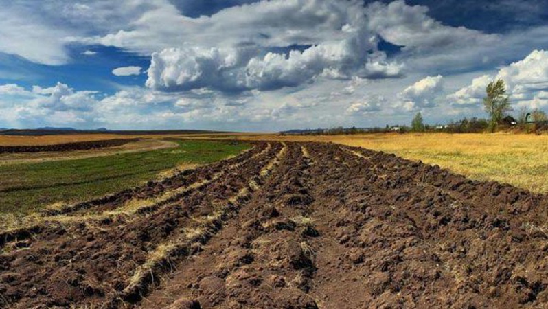 Директора фермерського господарства на Волині судять за самовільне зайняття земельної ділянки
