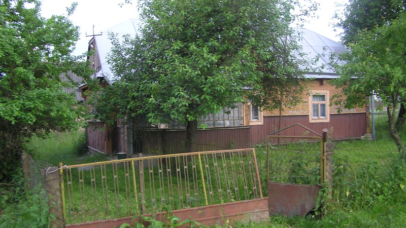 У волинському селі лисиця оселилася під хатою. ФОТО