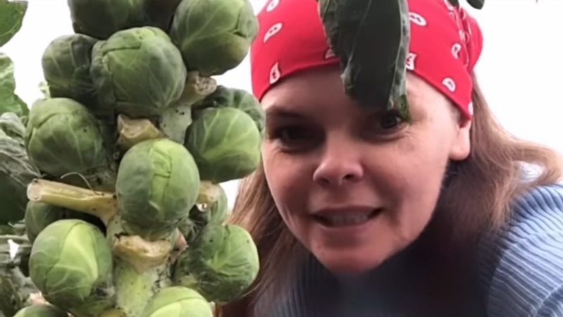 Волинянка вирощує різні сорти капусти та ділиться досвідом в Інстаграмі